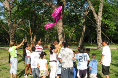 Pinata2