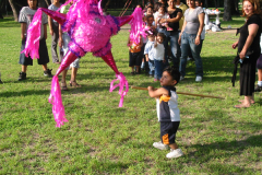 Pinata_1