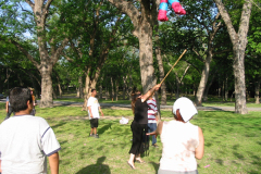 pinata_swinging2_adults