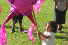 pinata_swinging7_t