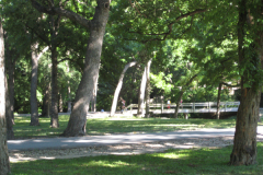 Picture013