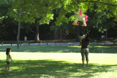 Picture017