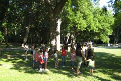 Picture023
