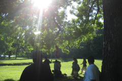 Picture028