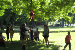 Picture031