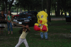 pinata_6