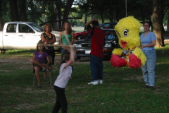 pinata_8