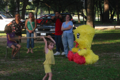 pinata_9